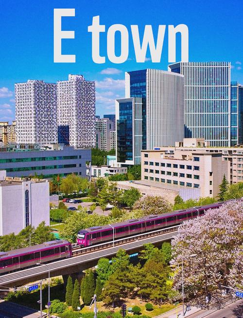 亦莊網(wǎng)站建設(shè) 權(quán)威觀點(diǎn)解讀與發(fā)展新趨勢(shì)